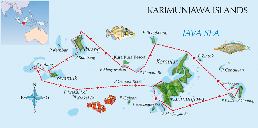 mappa